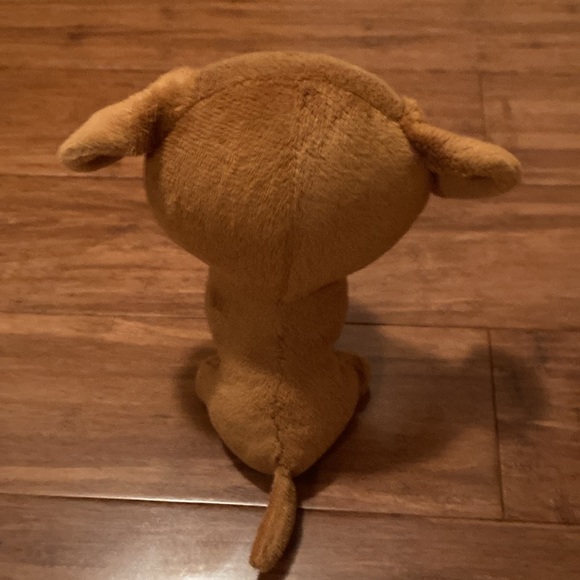 Dougie the dachshund - Picture 3 of 3